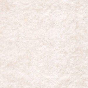 Ermine 03