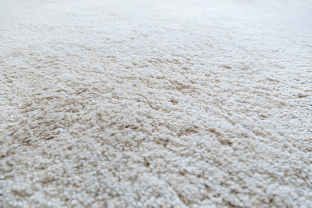 carpet borders