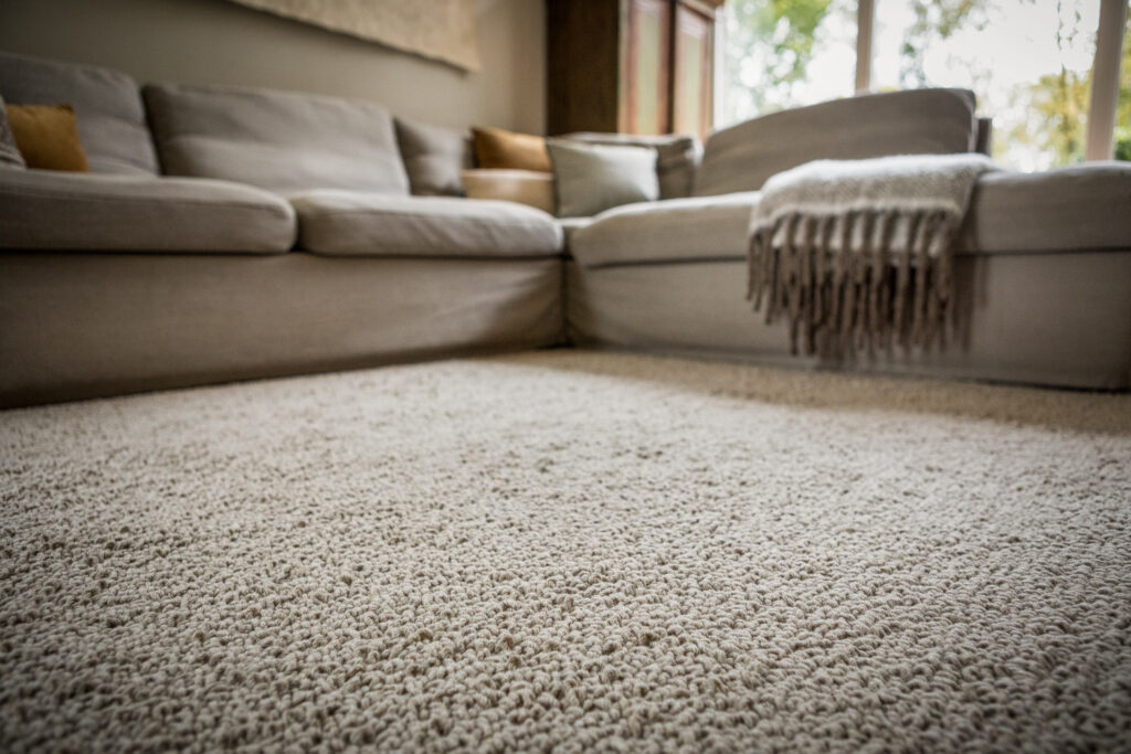 Wool Carpet