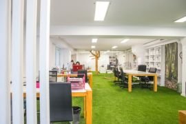 Office artificial grass carpets