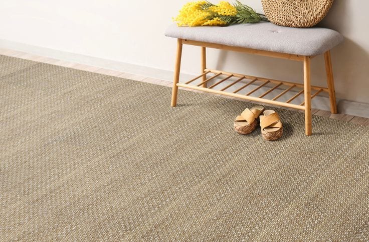 Sisal Carpet