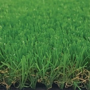 (Tek Grass-30 C) MS