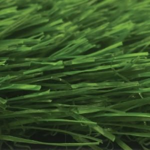 (Tek Grass-40 GG) MS