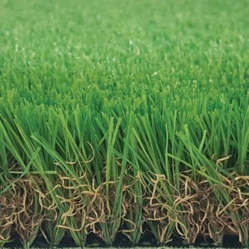 (Tek Grass-50 C) MS