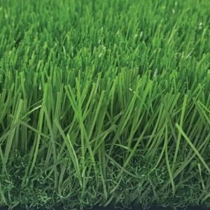 (Tek Grass-60 GG) MS