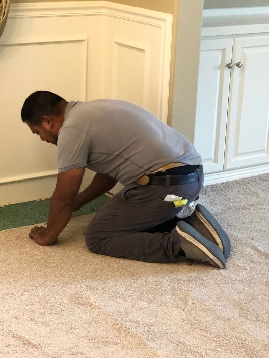 Best Carpet Installation Service