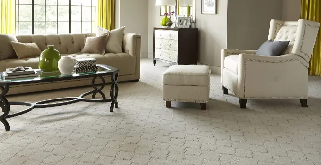 Best Living Room Carpets