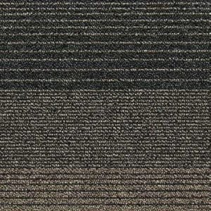 Brown 016 (MS)