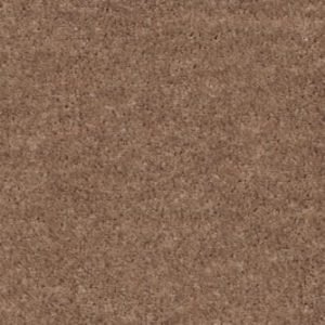 Camel 36 (MS)