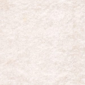 Ermine 03