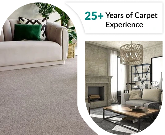 High Quality Living Room Carpets