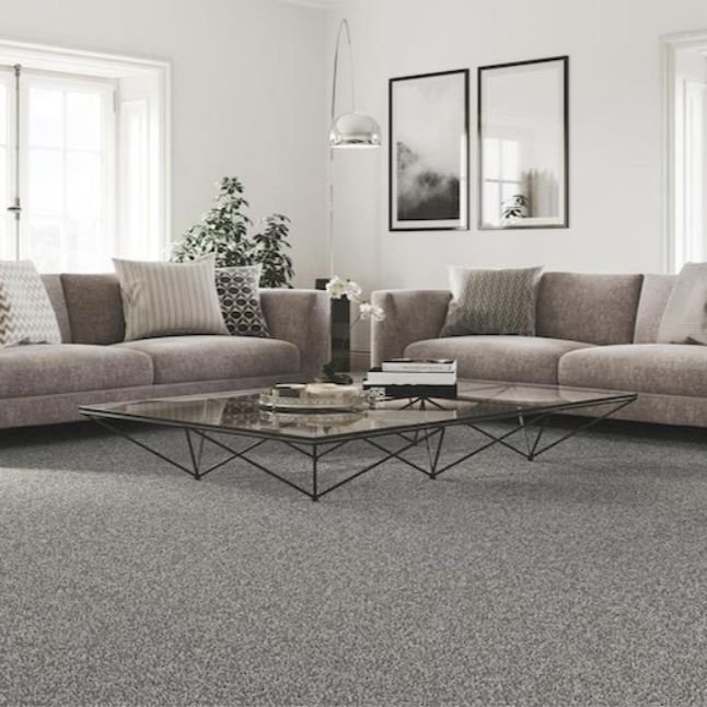 Living Room Carpet