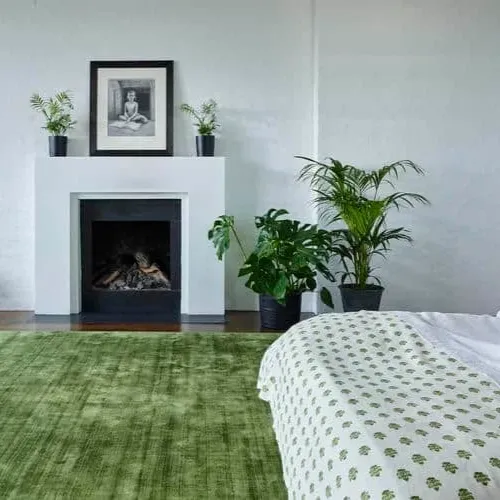Modern Fresh Green Carpet
