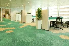 Office Green Carpets
