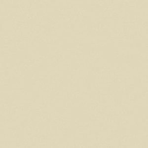 S224B BEIGE