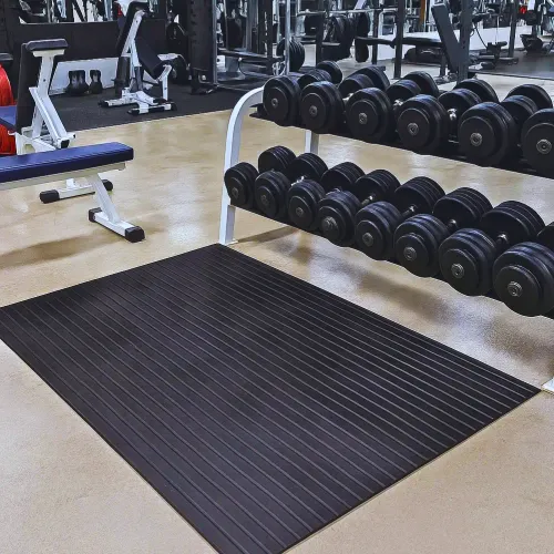 Vinyl Gym Mats