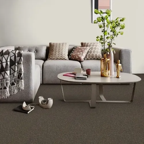 Black Color Carpets