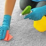 Deep Clean A Carpet By Hand