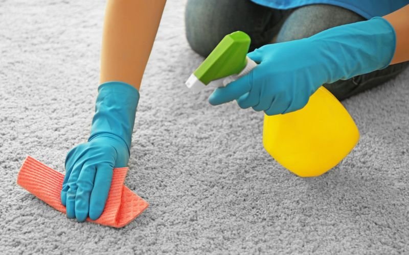 Deep Clean A Carpet By Hand
