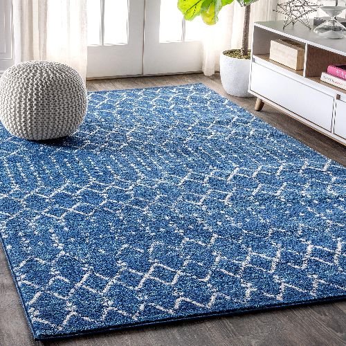 Stylish Blue Carpet