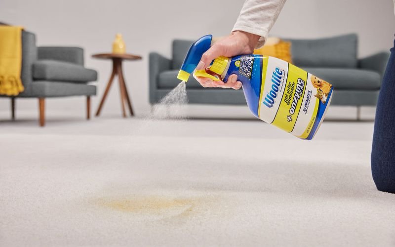 Try Enzyme Cleaners