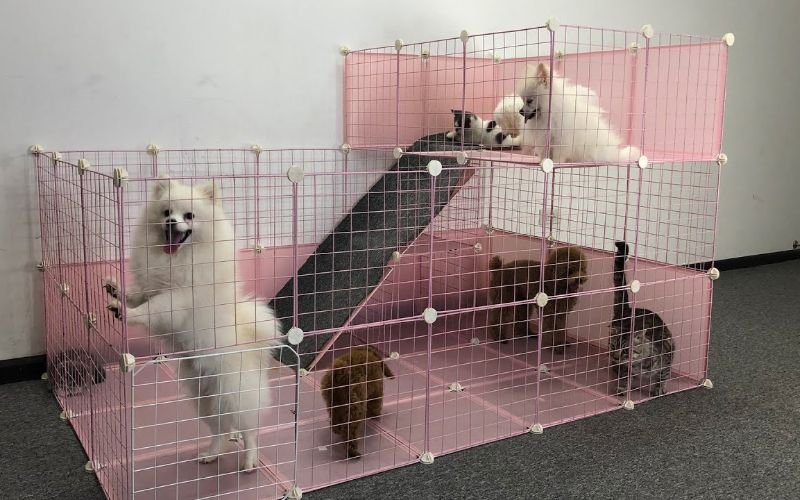 Make a Private Play Area For Cats