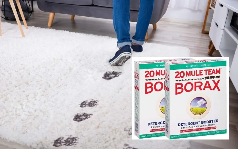 Use Of Borax