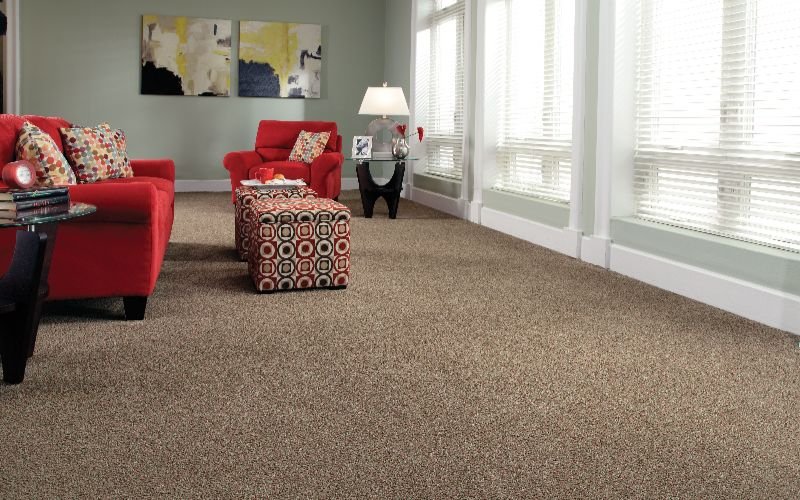 Perfect Carpet For The Home